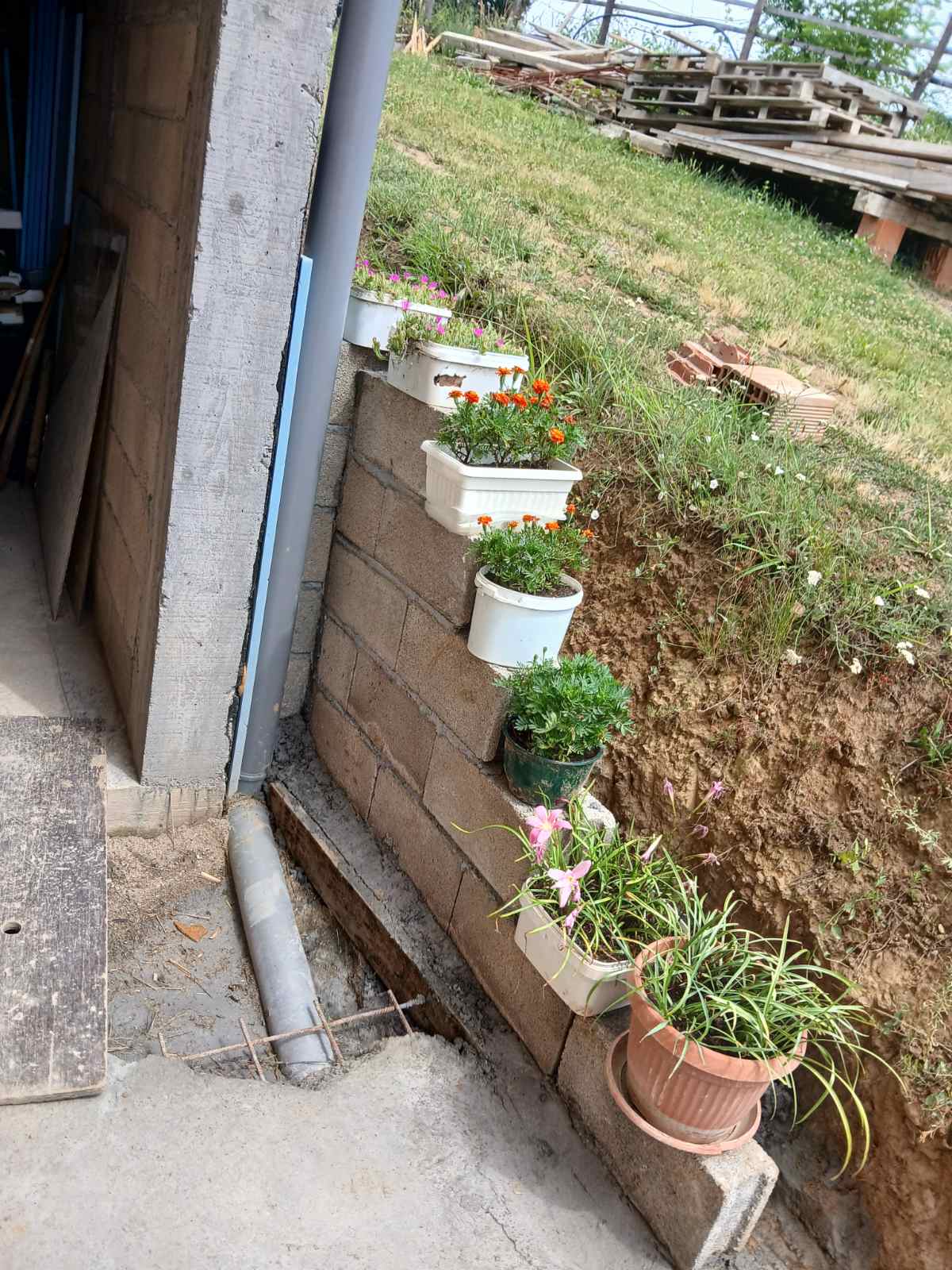 Uređen potporni zid sa cvetnim saksijama